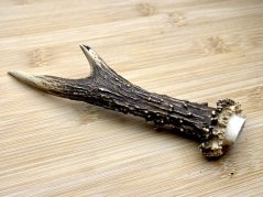 SRNČÍ PAROHY (16 cm)