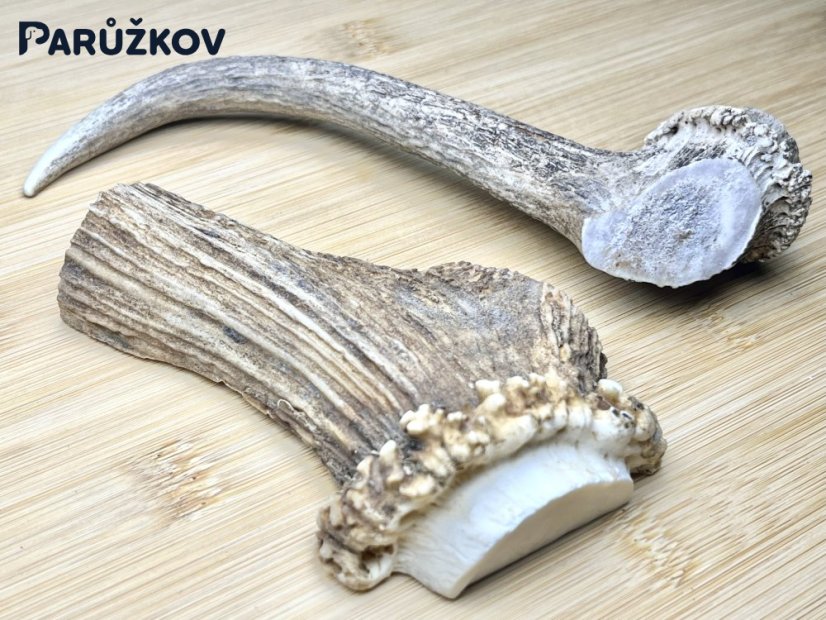 DANČÍ PAROHY - Duo (17 cm)