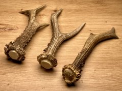 SRNČÍ PAROHY - Trio (18 cm)