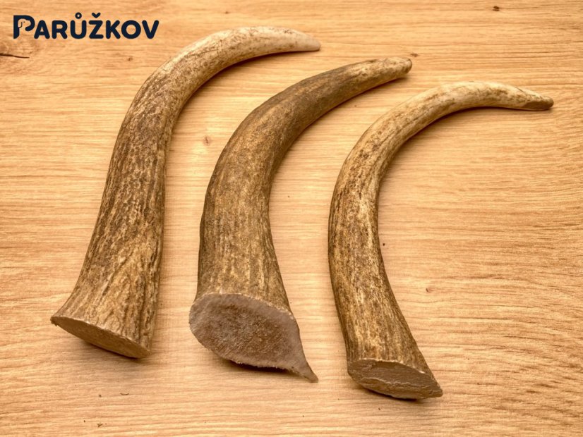 DANČÍ PAROHY - Trio - rohy (15 cm)