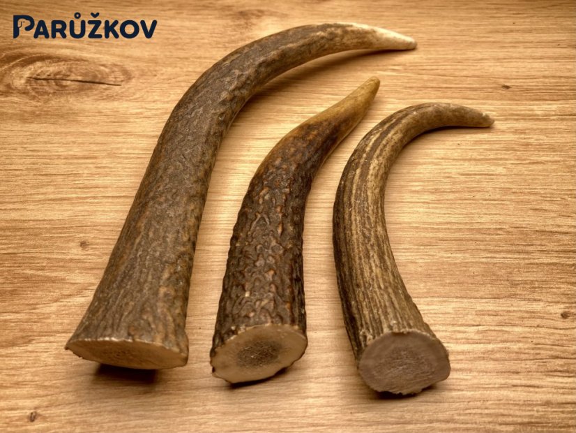 JELENÍ PAROHY - Trio - rohy (17 cm)
