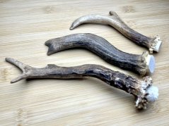 SRNČÍ PAROHY - Trio (18 cm)