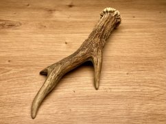 SRNČÍ PAROHY (19 cm)