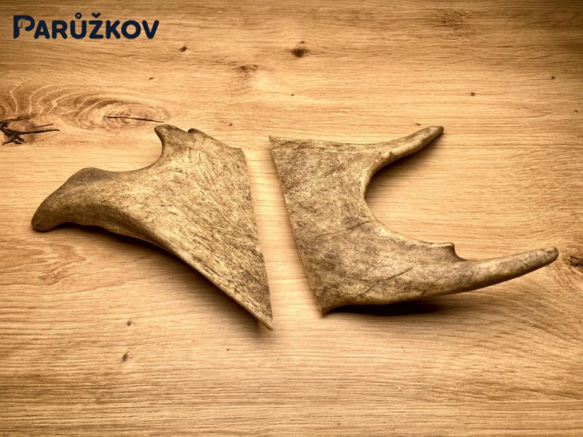 DANČÍ PAROHY - Duo (13 cm)
