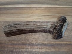 JELENÍ PARŮŽEK PRO PSY - 13 cm - PŮLENÝ