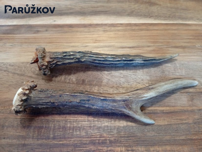 SRNČÍ PARŮŽEK PRO PSY - 17 cm - DUO