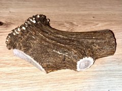 JELENÍ PAROHY - Půlený (14,5 cm)