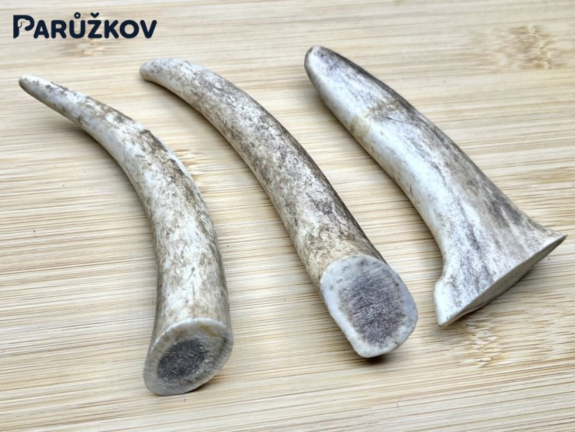 DANČÍ PAROHY - Trio (11 cm)
