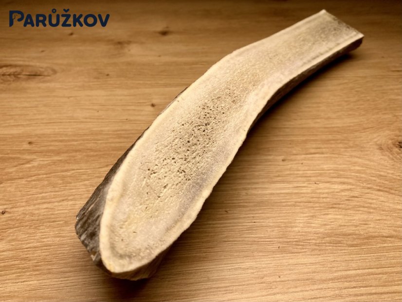 JELENÍ PAROHY - Půlený (27 cm)