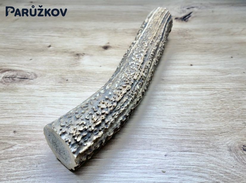 JELENÍ PAROHY (23 cm)