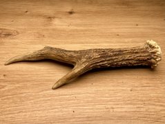 SRNČÍ PAROHY (19 cm)