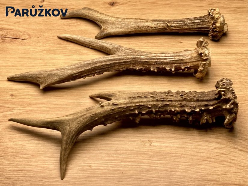 SRNČÍ PAROHY - Trio (18 cm)
