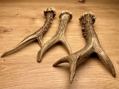 SRNČÍ PAROHY - Trio (18,5 cm)