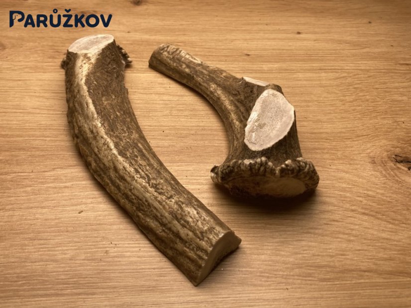 DANČÍ PAROHY - Duo (17 cm)