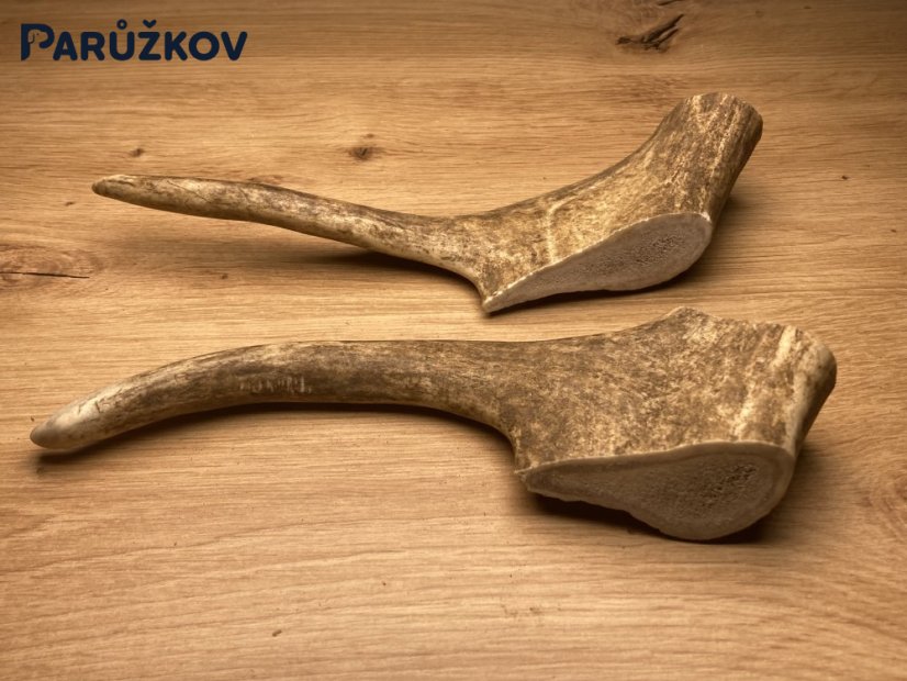 DANČÍ PAROHY - Duo (22 cm)