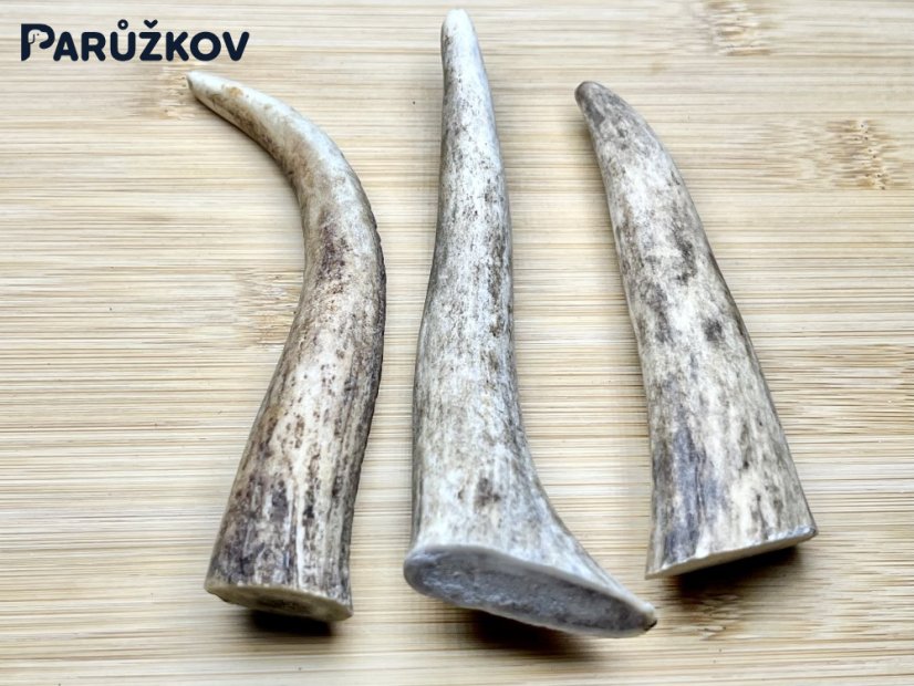 DANČÍ PAROHY - Trio - rohy (13,5 cm)