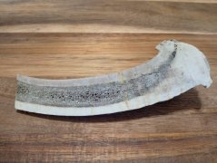 JELENÍ PARŮŽEK PRO PSY - 15 cm - PŮLENÝ