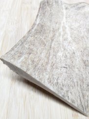 DANČÍ PARŮŽEK PRO PSY 16cm