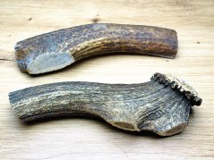 JELENÍ PAROHY - Duo - Mix (17 cm)