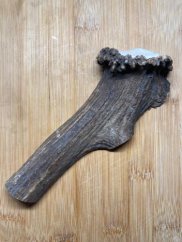 JELENÍ PARŮŽEK PRO PSY půlený 17,7cm