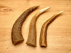 JELENÍ PAROHY - Trio - rohy (15 cm)