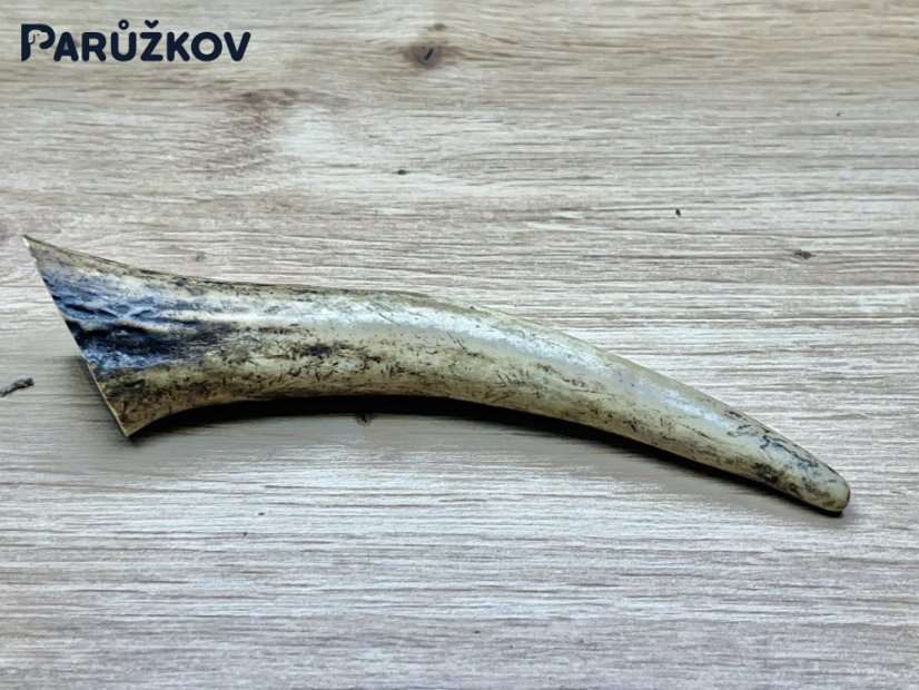 JELENÍ PAROHY - Roh (14 cm)