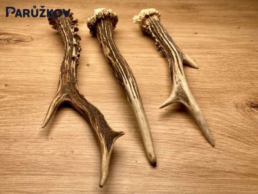 SRNČÍ PAROHY - Trio (22 cm)
