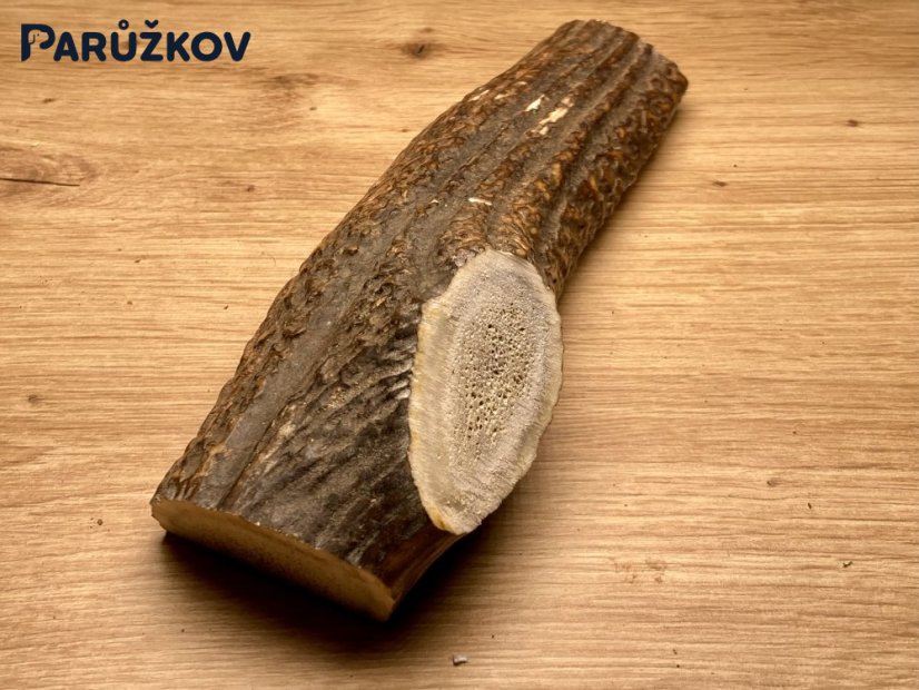 JELENÍ PAROHY - Půlený (19 cm)