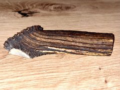 JELENÍ PAROHY - Půlený (13 cm)