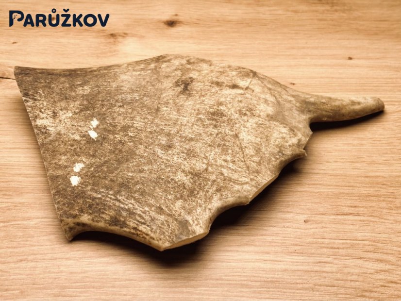 DANČÍ PAROHY (20 cm)