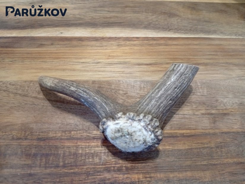 JELENÍ PARŮŽEK PRO PSY - 15 cm