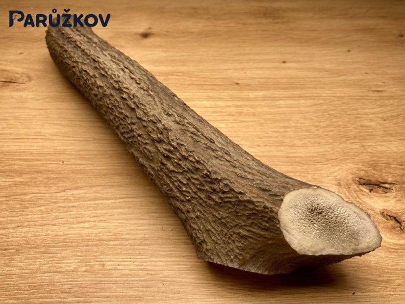 JELENÍ PAROHY (25 cm)