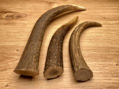 JELENÍ PAROHY - Trio - rohy (17 cm)