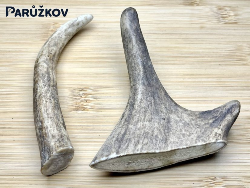 DANČÍ PAROHY - Duo (11 cm)