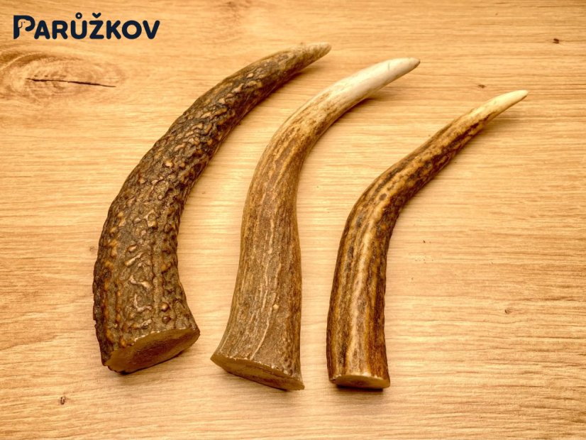 JELENÍ PAROHY - Trio - rohy (15 cm)