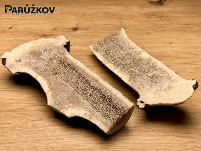 JELENÍ PAROHY - Duo - půlené (14 cm)