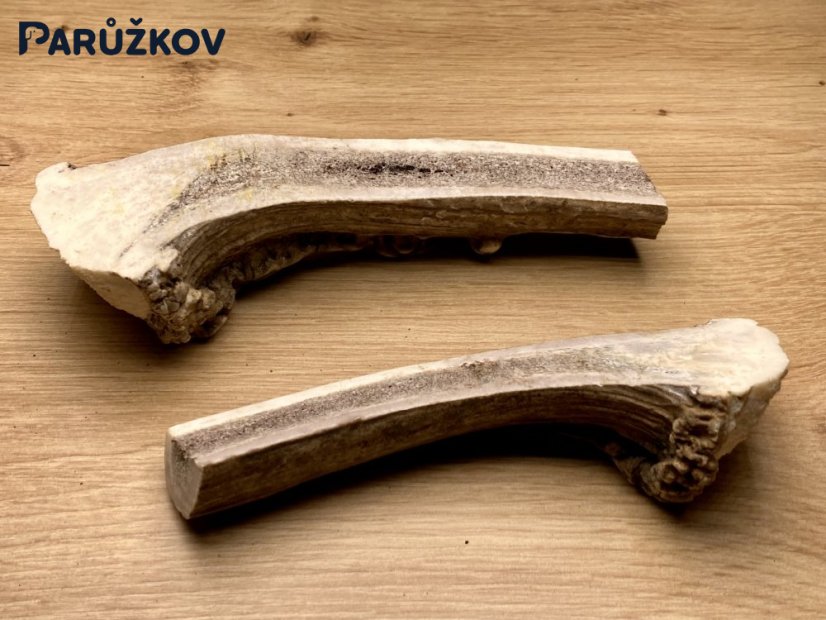 DANČÍ PAROHY - Duo - půlené (16 cm)