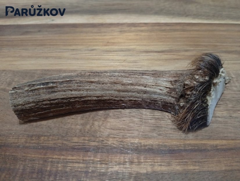 JELENÍ PARŮŽEK PRO PSY - 13 cm - PŮLENÝ