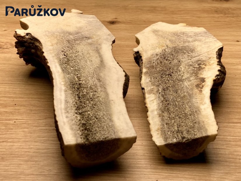 JELENÍ PAROHY - Duo - půlené (15 cm)