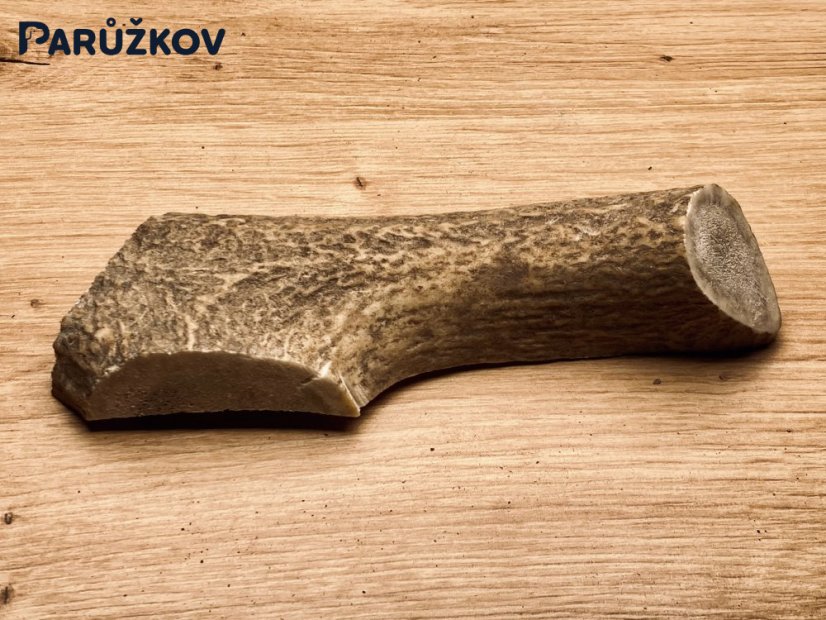 JELENÍ PAROHY - Půlený (16 cm)