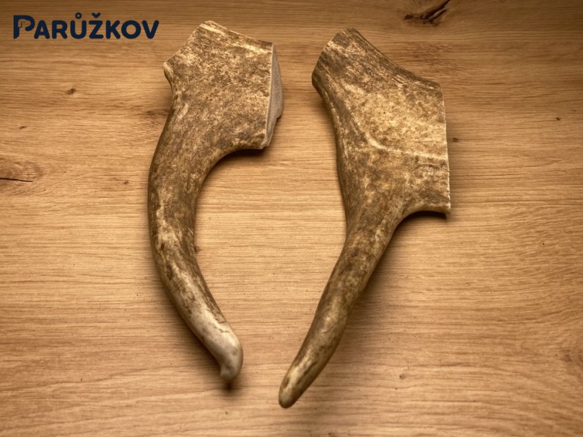 DANČÍ PAROHY - Duo (22 cm)
