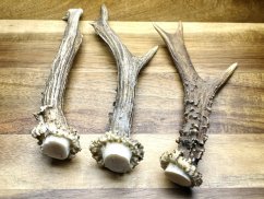 SRNČÍ PAROHY - Trio (19 cm)
