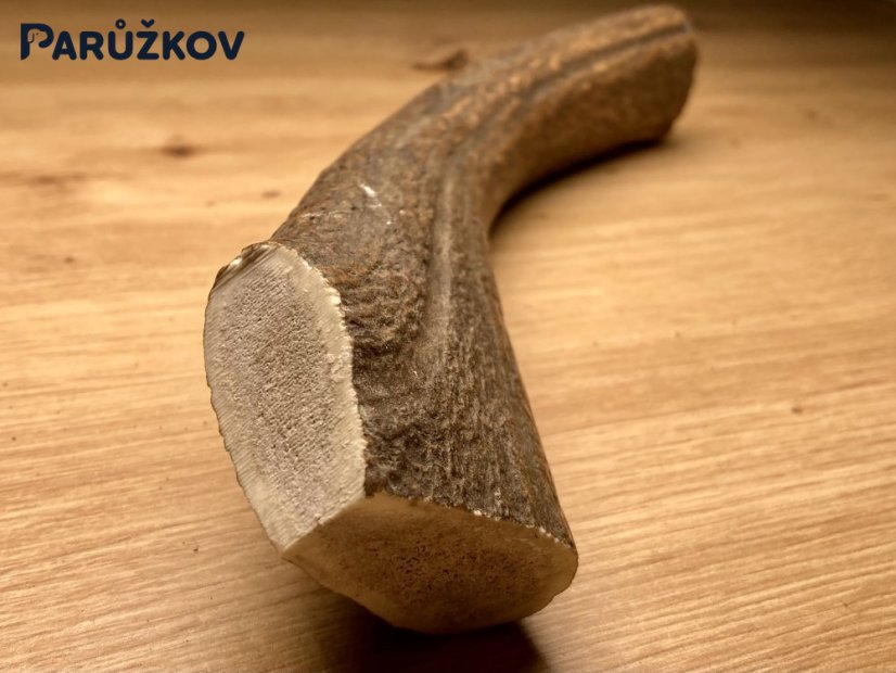 JELENÍ PAROHY (29 cm)