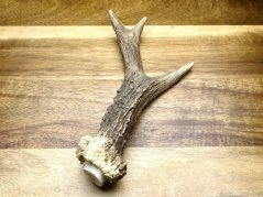 SRNČÍ PAROHY (16 cm)