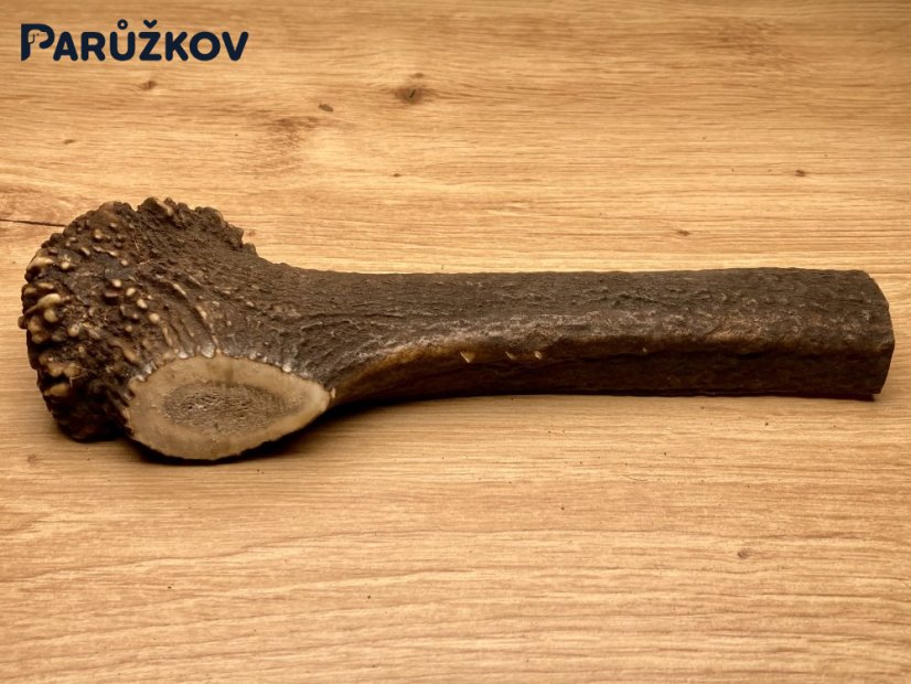 JELENÍ PAROHY - Půlený (19 cm)