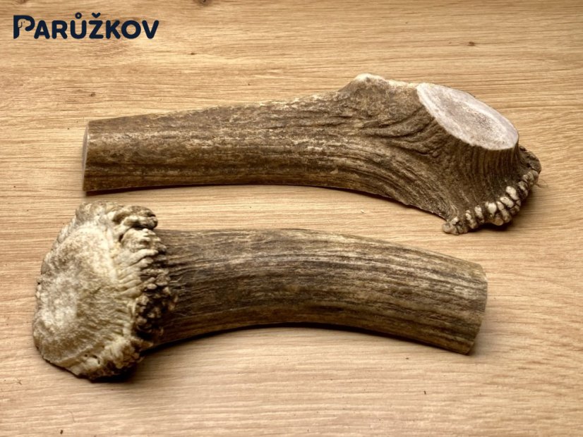 DANČÍ PAROHY - Duo - půlené (16 cm)