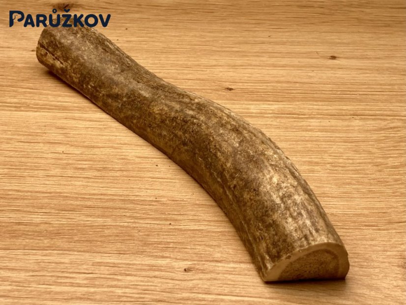 JELENÍ PAROHY - Půlený (16 cm)