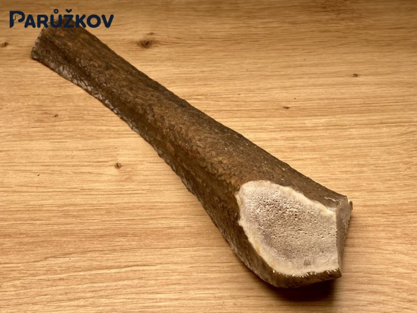 JELENÍ PAROHY - Půlený (23 cm)
