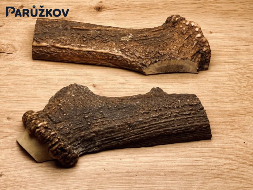 JELENÍ PAROHY - Duo - půlené (17 cm)