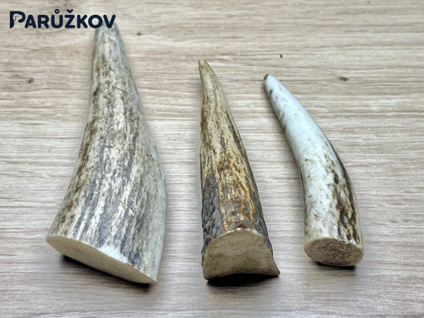 JELENÍ PAROHY - Trio - rohy (11 cm)
